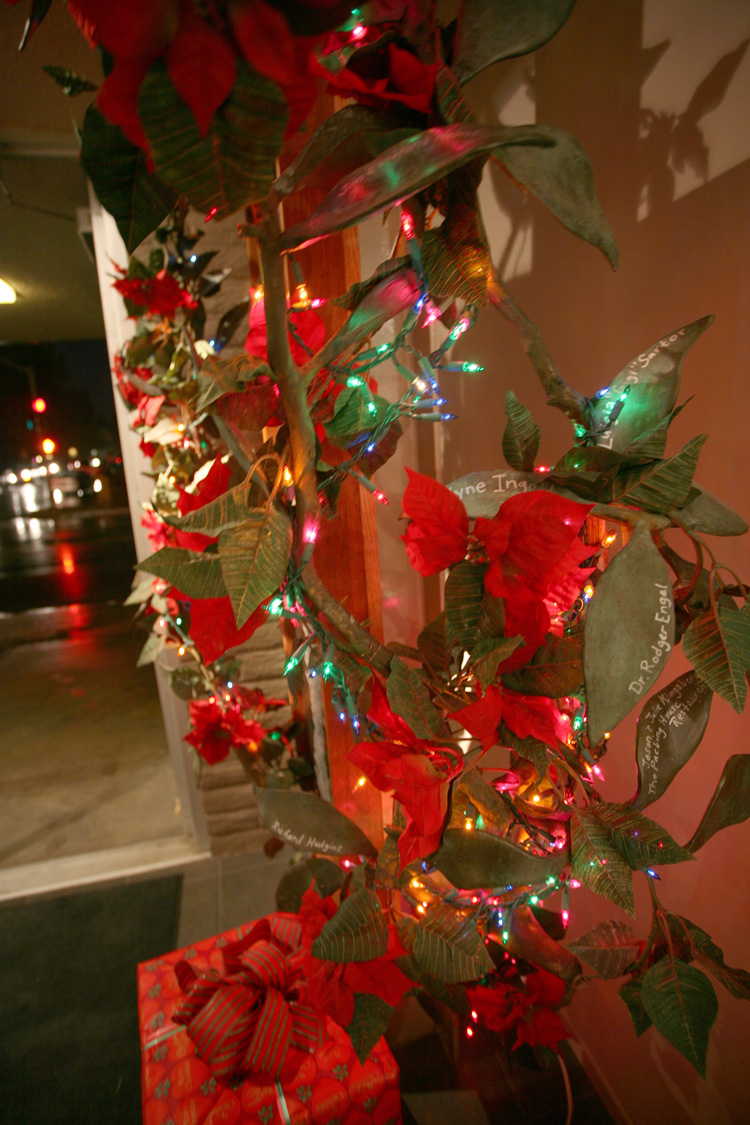 Fallbrook_Christmas31