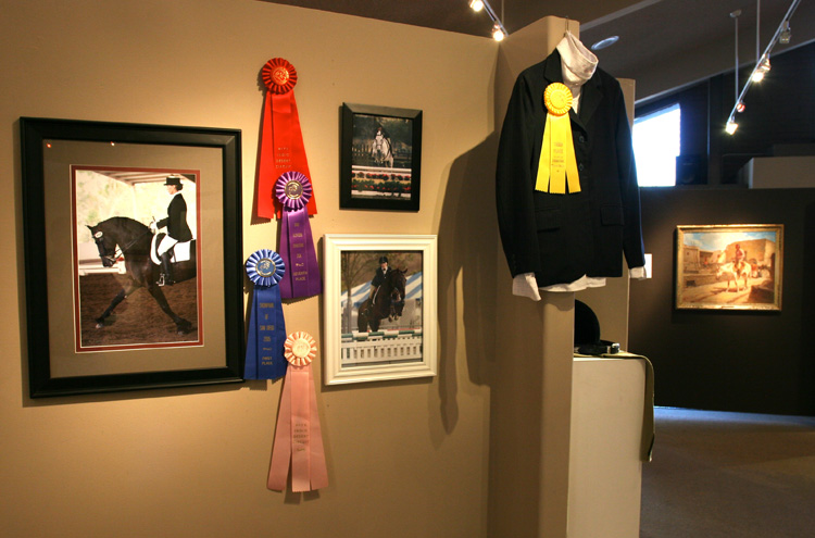 equine17