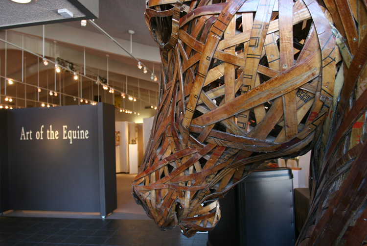 equine18