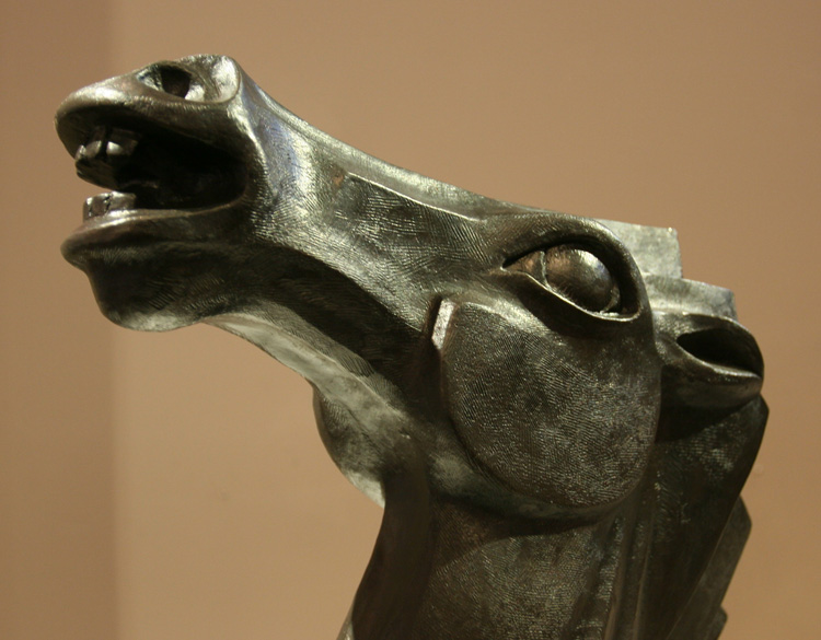 equine20