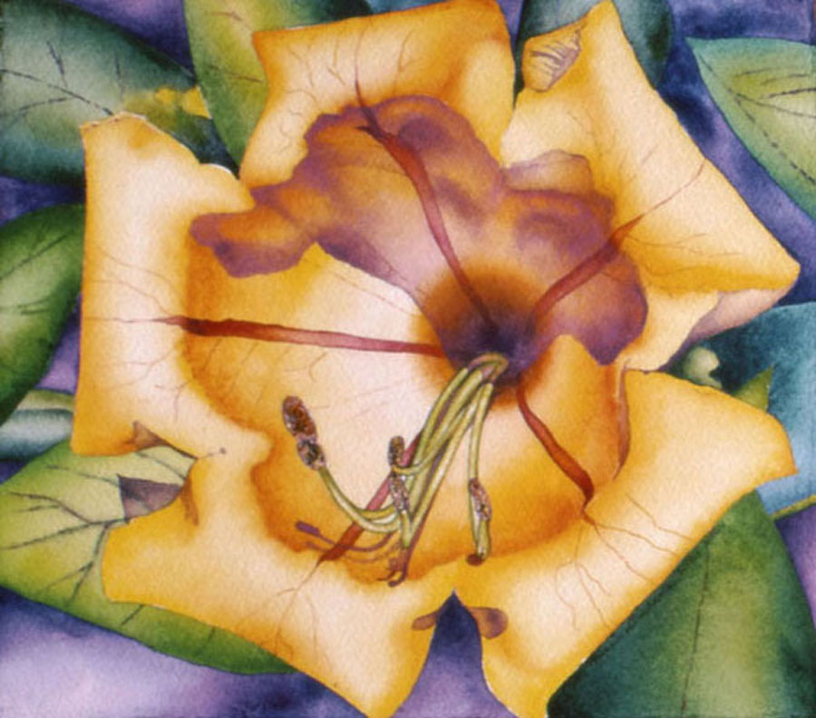 watercolors25